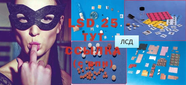 сатива Инта