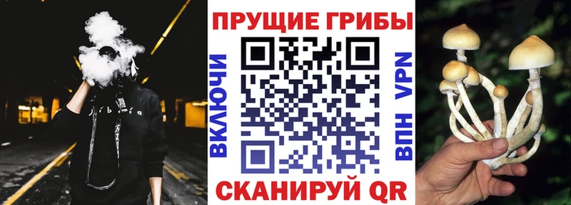 Псилоцибиновые грибы Magic Shrooms  Великий Новгород 